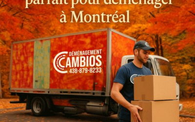 Fall: the perfect time to move to Montreal