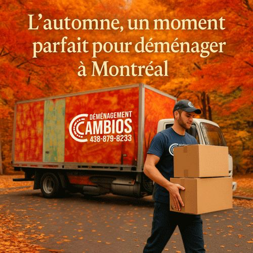 Fall: the perfect time to move to Montreal