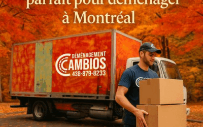 L’automne, un moment parfait pour déménager à Montréal